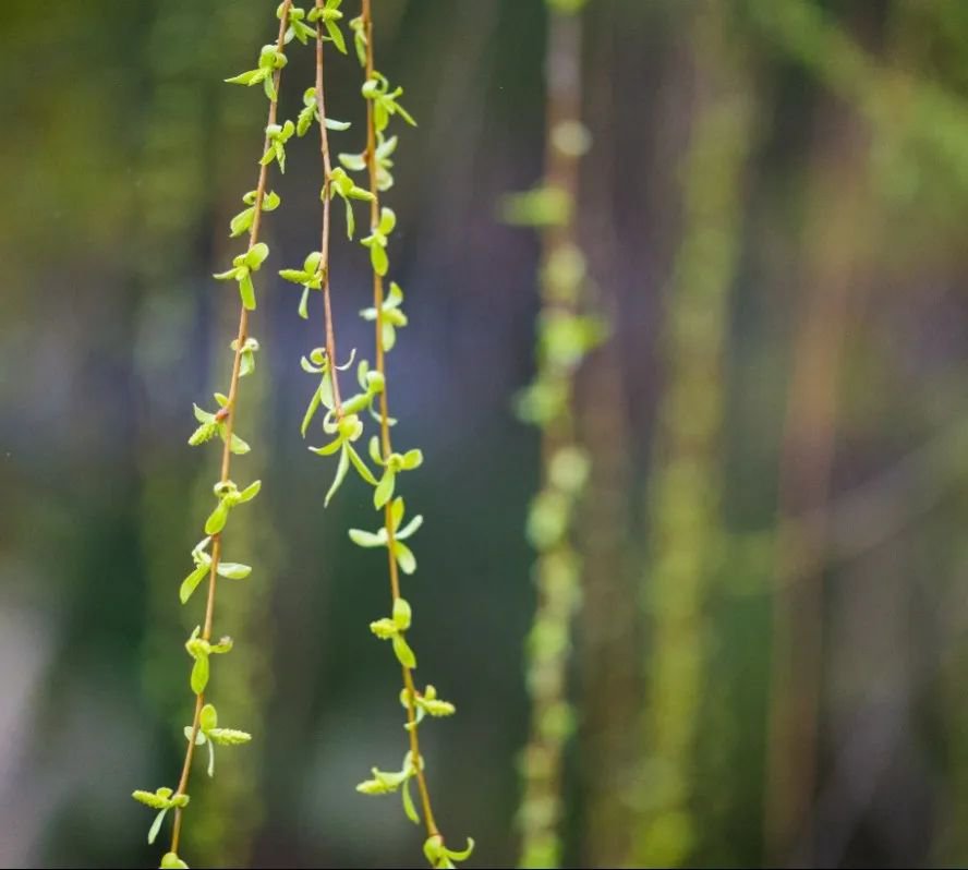 亿万先生MR·(中国集团)官方网站