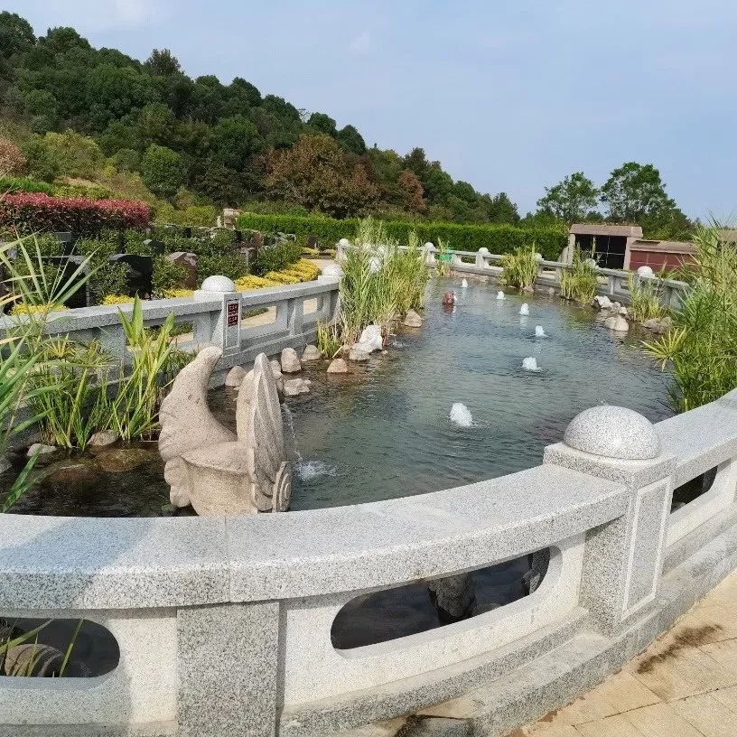 亿万先生MR·(中国集团)官方网站