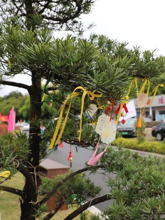 亿万先生MR·(中国集团)官方网站