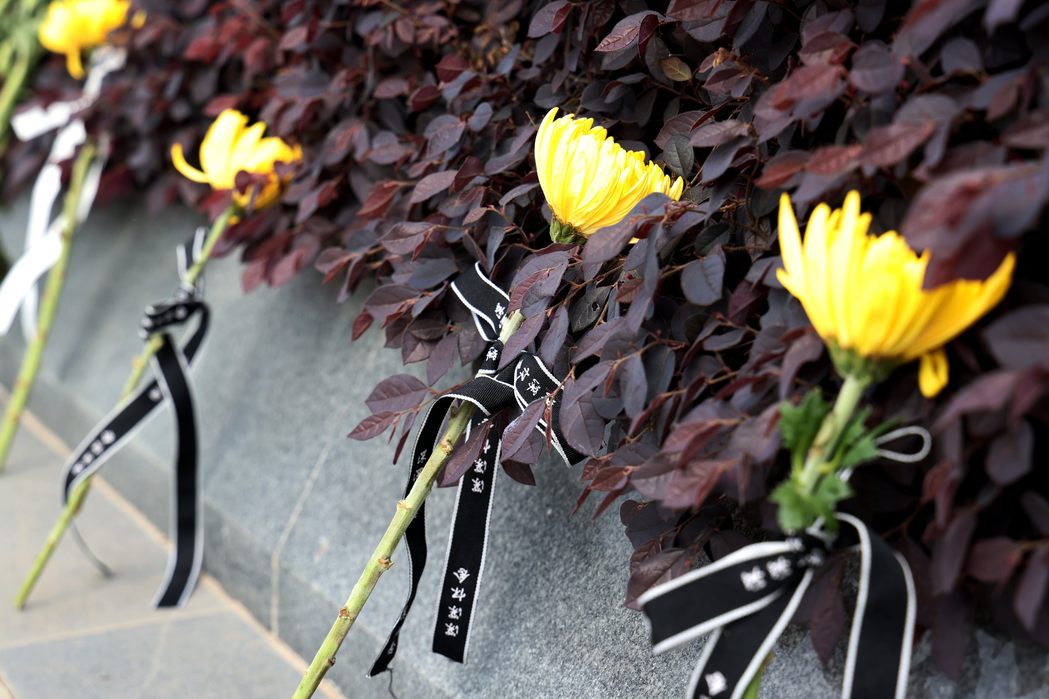 亿万先生MR·(中国集团)官方网站