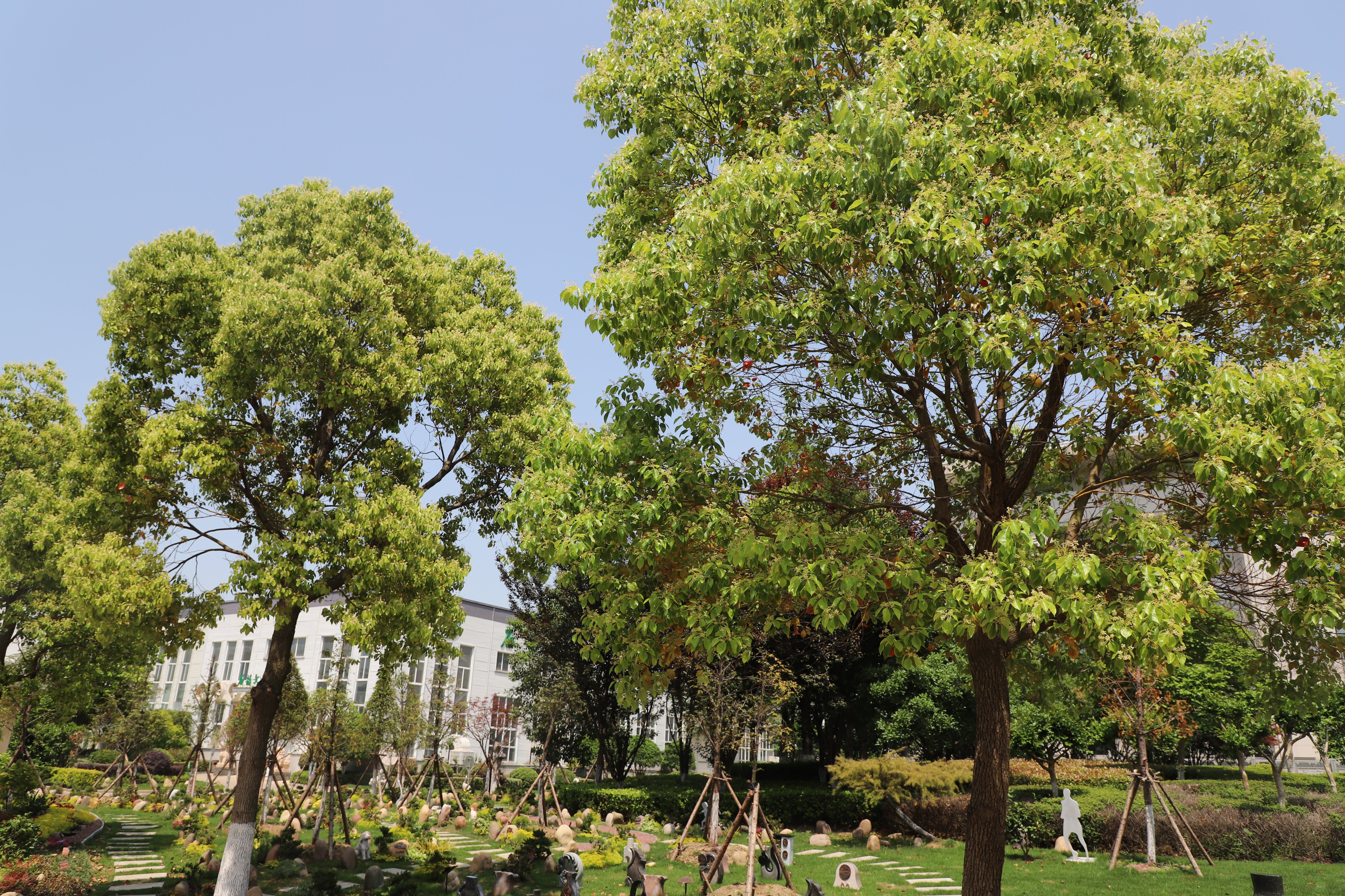 亿万先生MR·(中国集团)官方网站