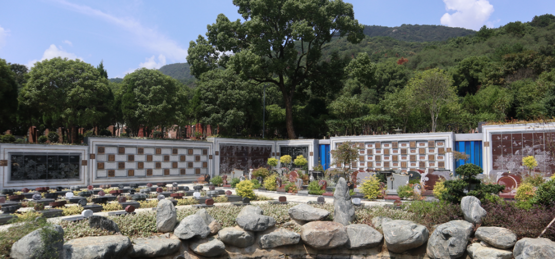 亿万先生MR·(中国集团)官方网站