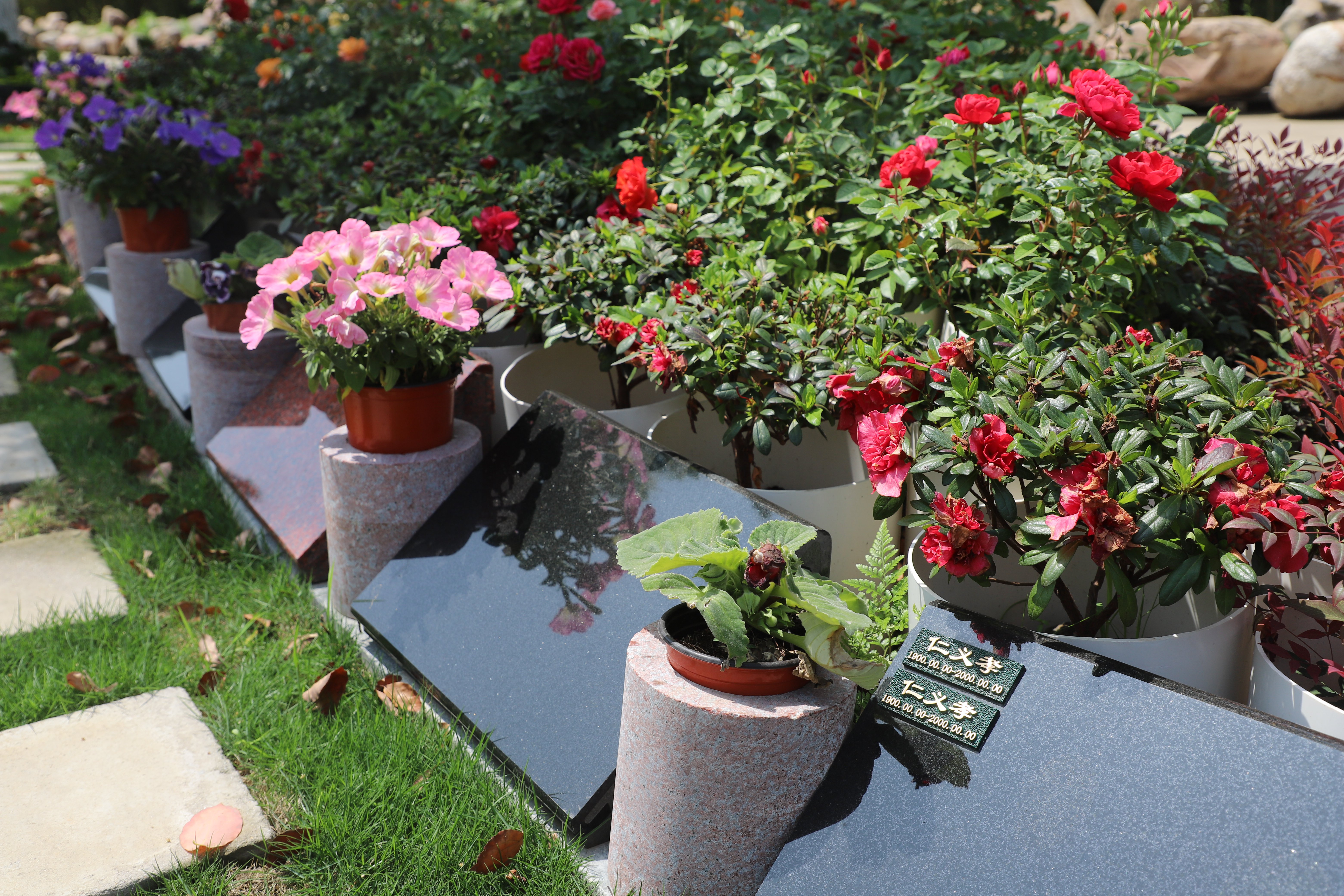 亿万先生MR·(中国集团)官方网站