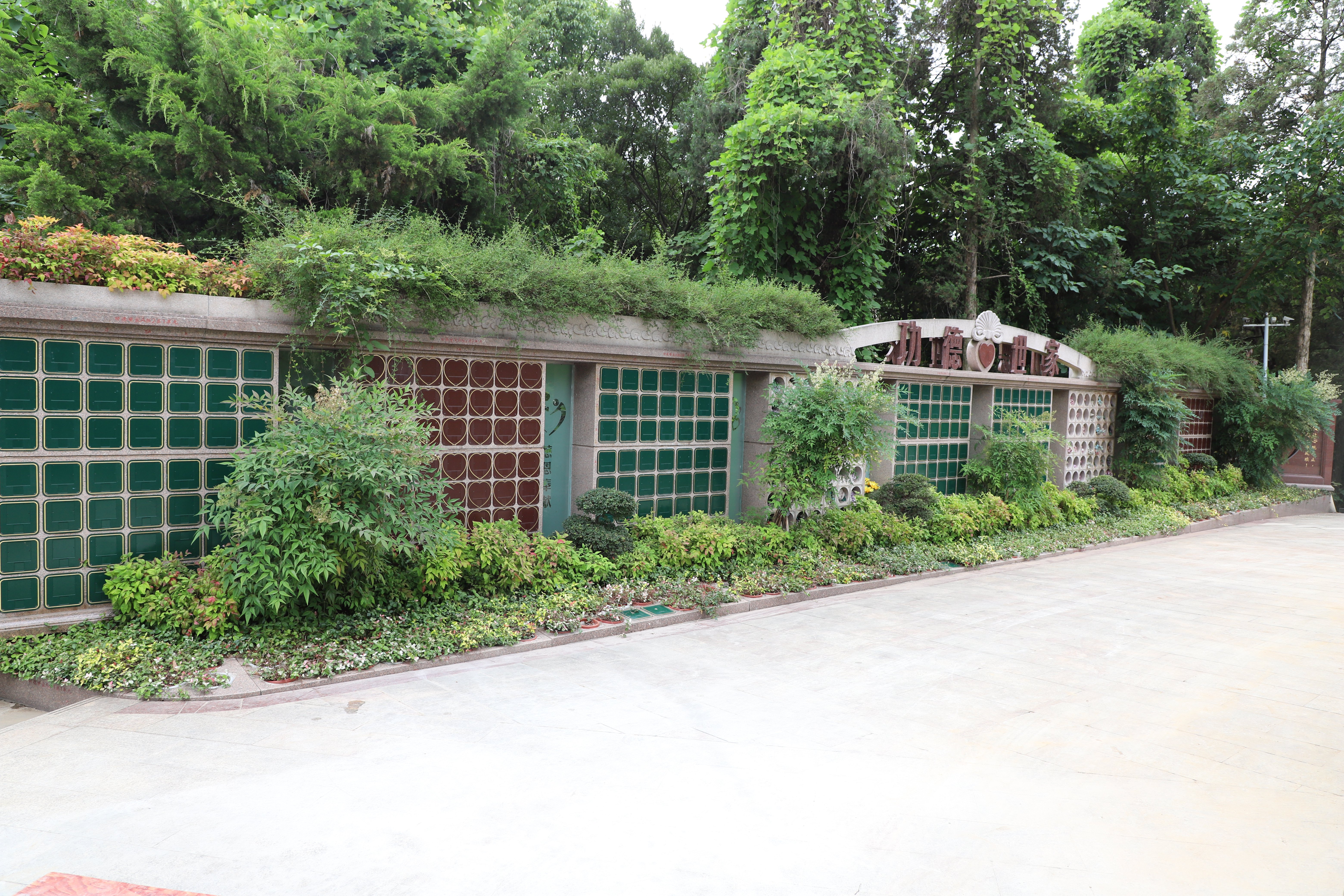 亿万先生MR·(中国集团)官方网站