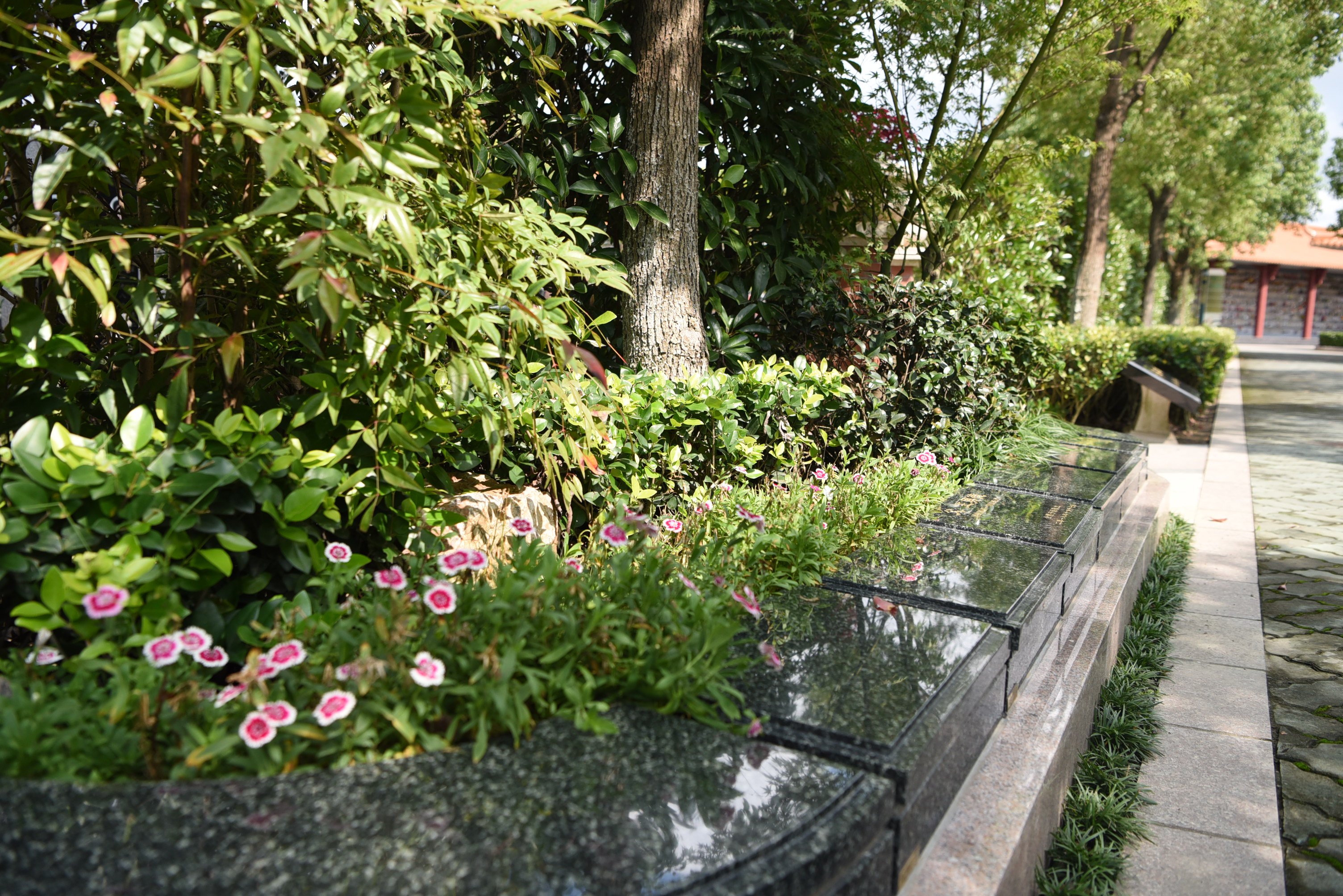 亿万先生MR·(中国集团)官方网站