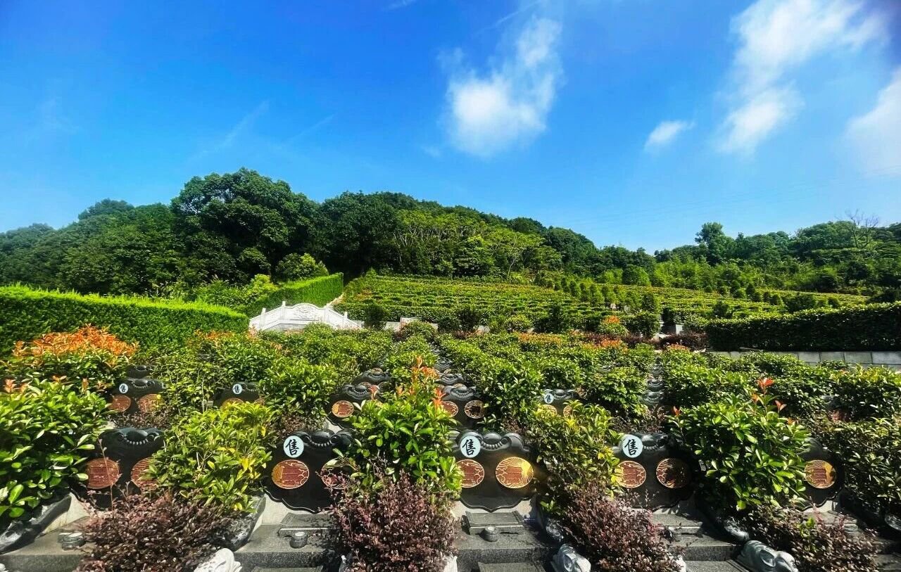 亿万先生MR·(中国集团)官方网站