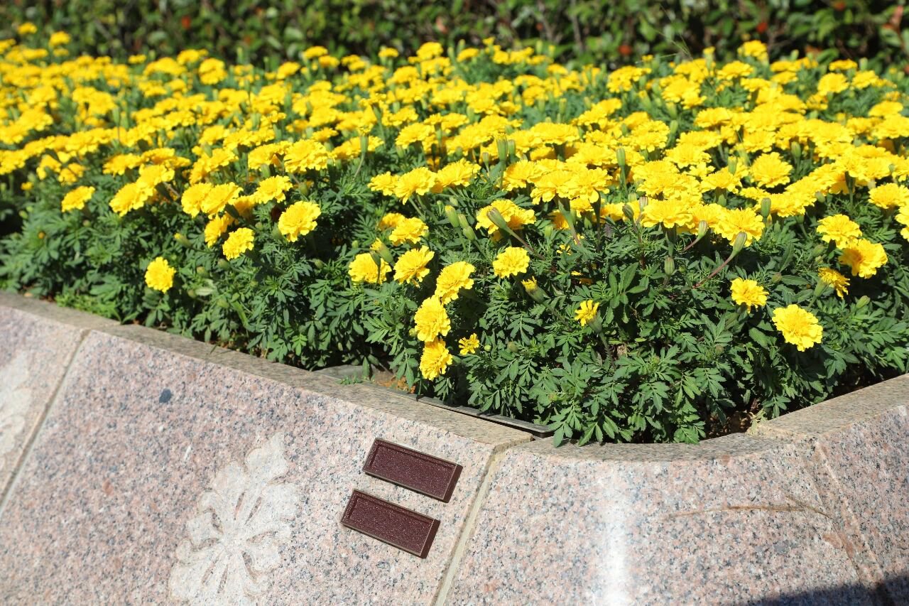 亿万先生MR·(中国集团)官方网站