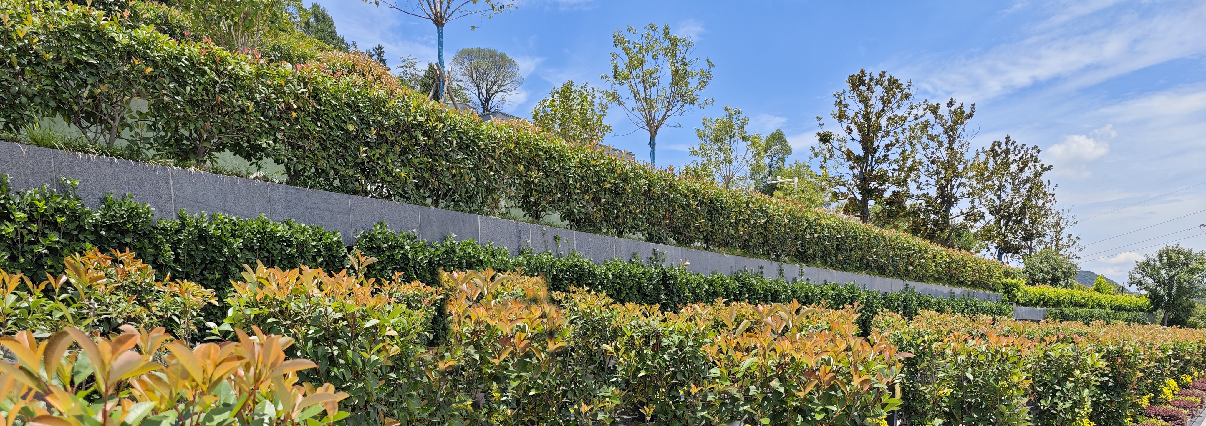 亿万先生MR·(中国集团)官方网站