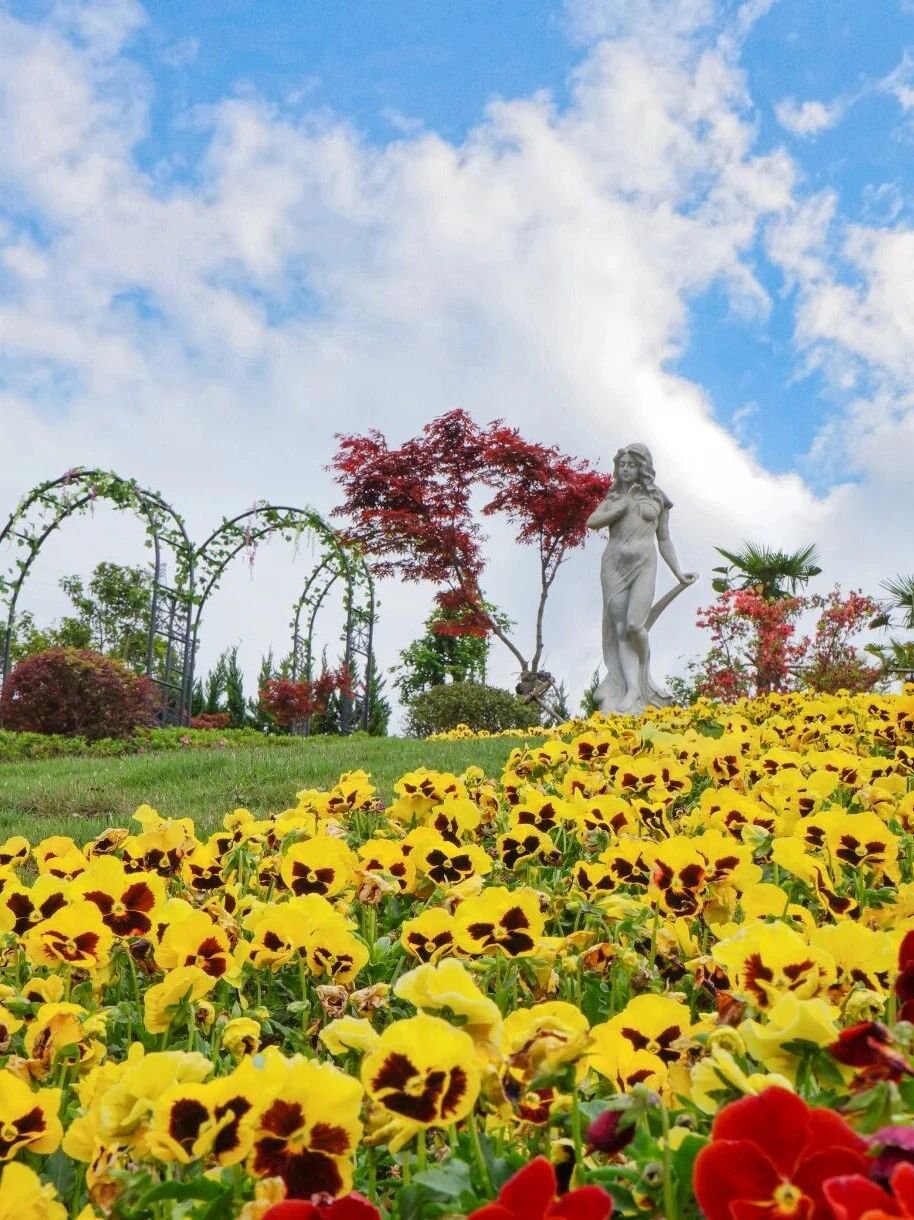 亿万先生MR·(中国集团)官方网站