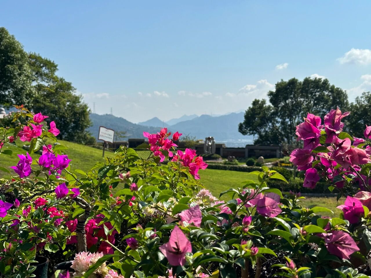 亿万先生MR·(中国集团)官方网站