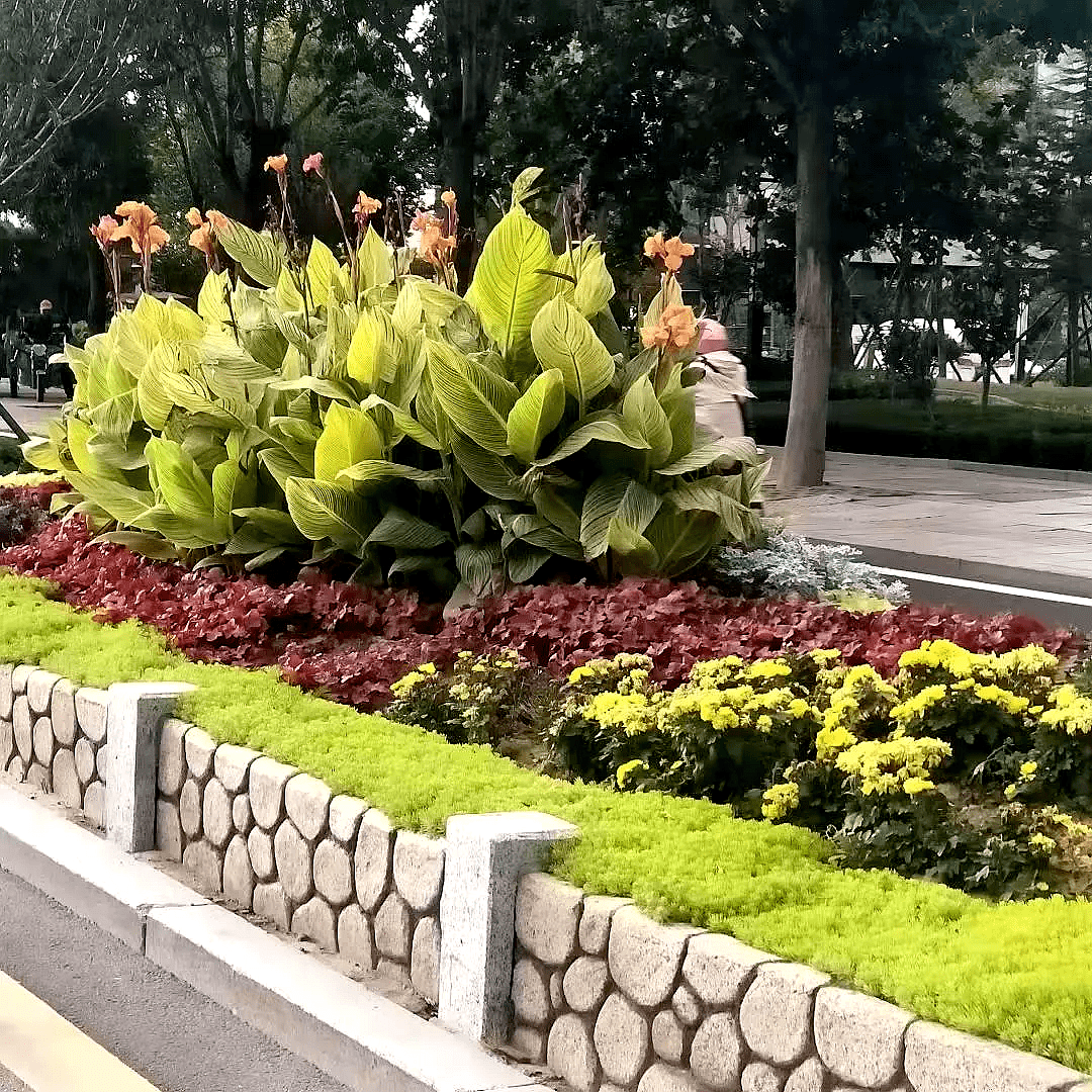 亿万先生MR·(中国集团)官方网站